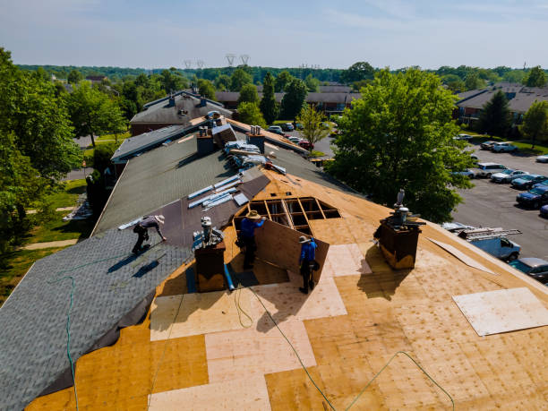 Best Storm Damage Roof Repair  in Onsted, MI
