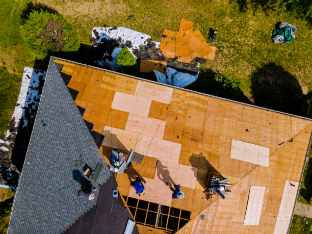 Best Emergency Roof Repair  in Onsted, MI