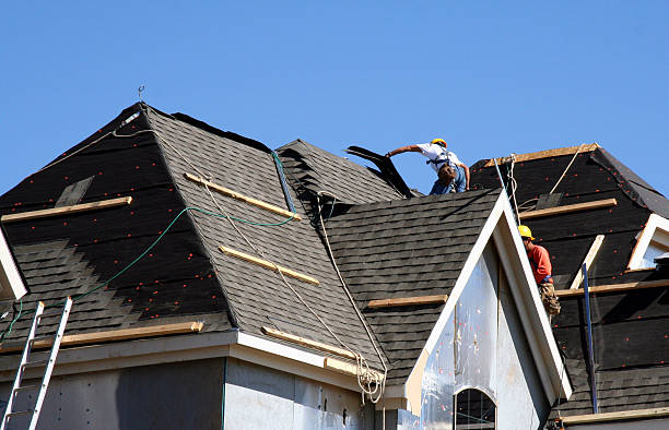 Best Roof Gutter Cleaning  in Onsted, MI