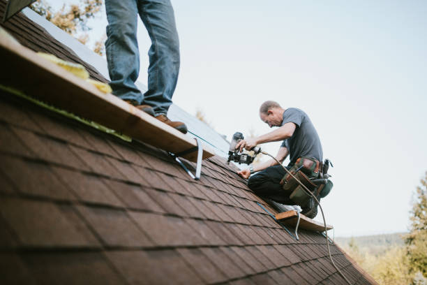 Best Residential Roofing Contractor  in Onsted, MI