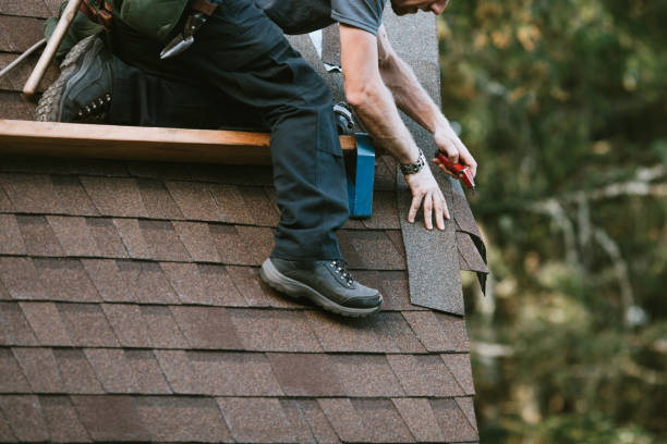Best Roof Repair Specialists  in Onsted, MI